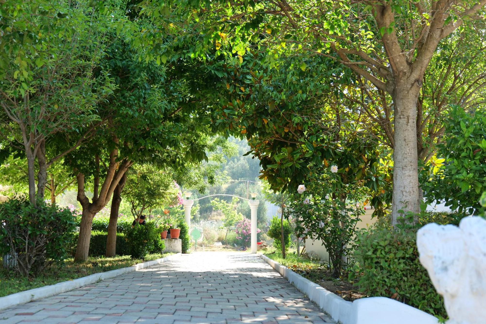 Edva Resort Radhimë Esterno foto